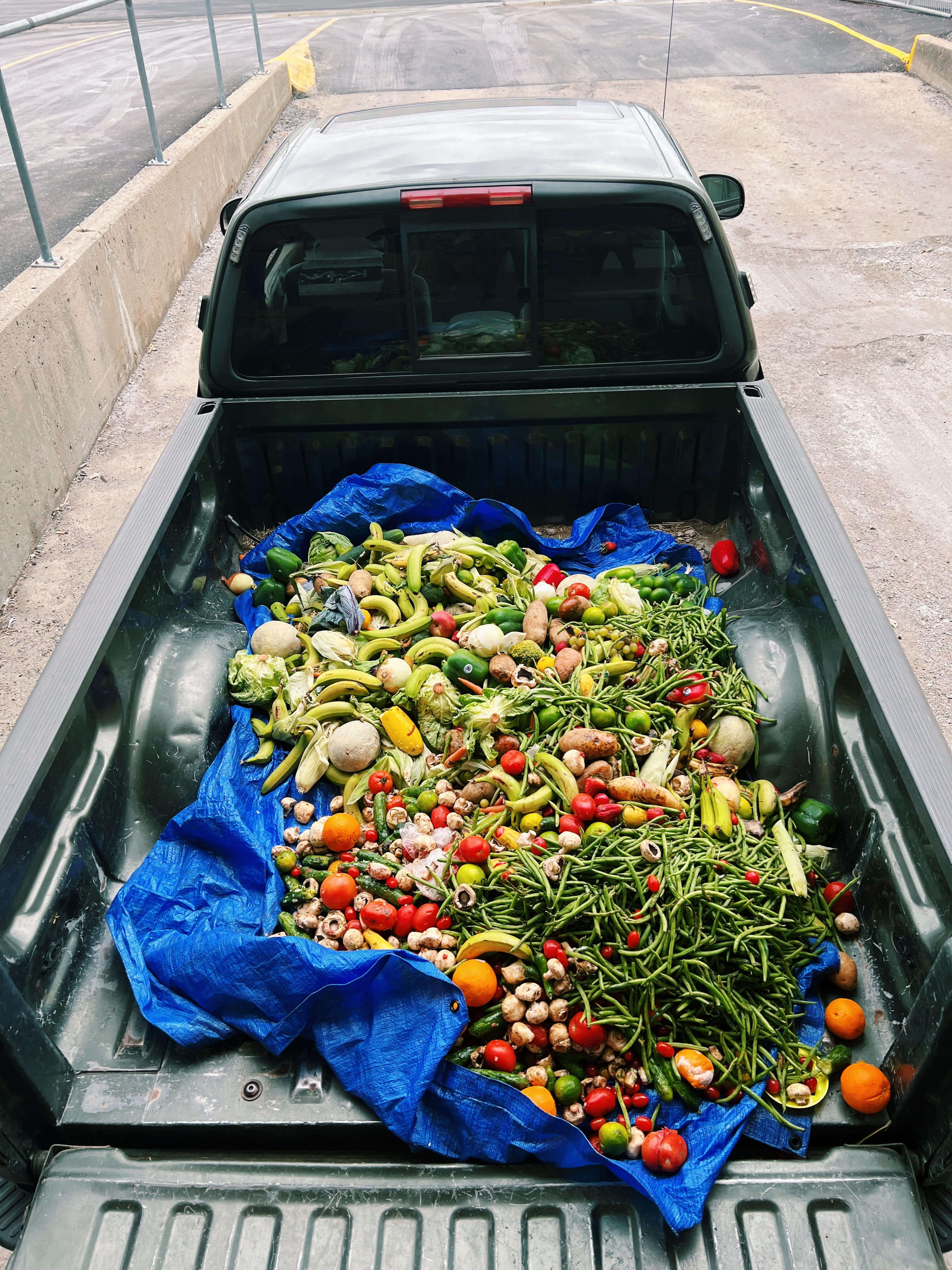 food waste collection in truck