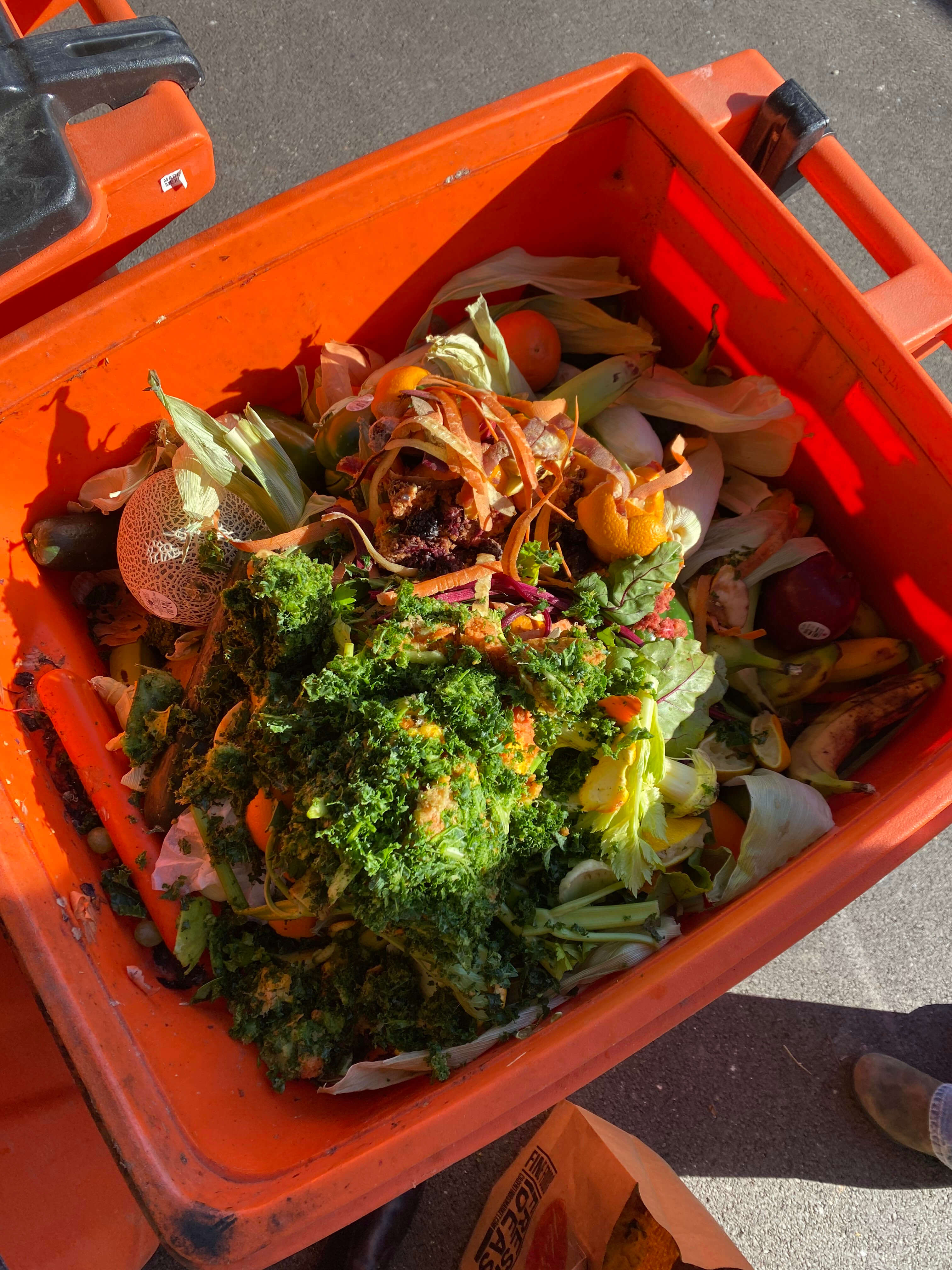 Reducing Food Waste in your Community